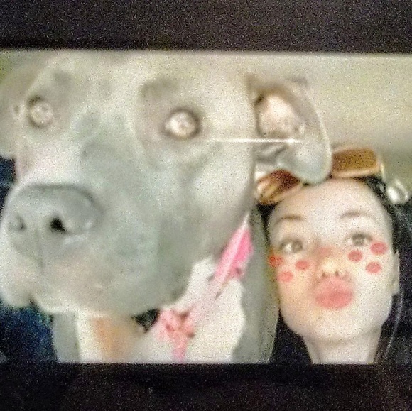 Meet your Posher, Alaya - Picture 1 of 1